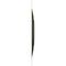 Ekena Millwork 19 5/8in. W x 19 5/8in. H Shallows EnduraWall Decorative 3D Wall Panel Covers 2.67 Sq. Ft. WP20X20SHGCG - alternate 6